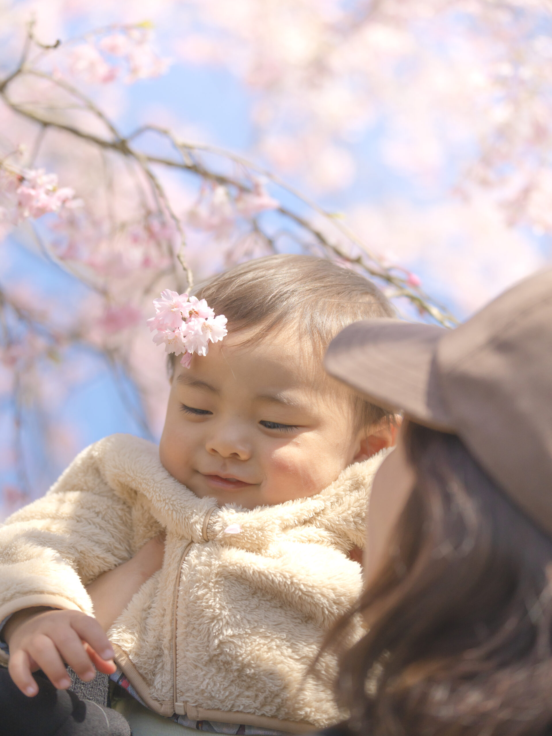 写真撮影・現像 - 写真、動画の撮影・編集はDFB