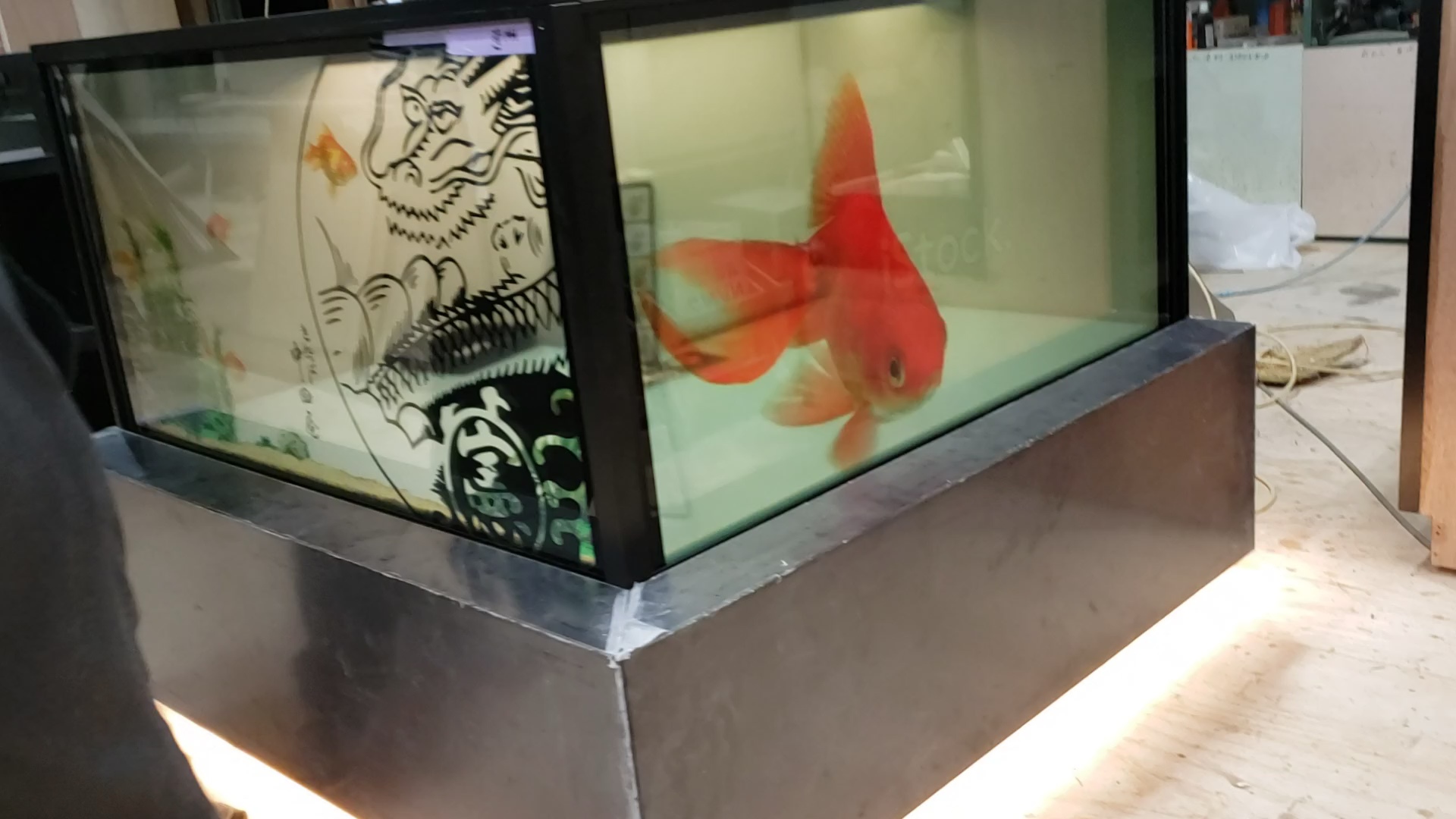 透過ショーケース